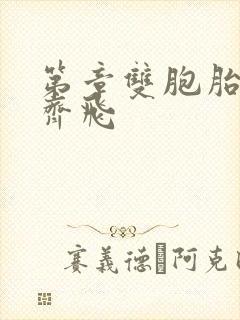 第章双胞胎姐妹齐飞封面