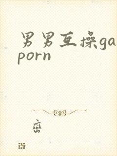 男男互操gayporn