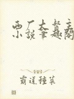 西厂大督主李易小说笔趣阁