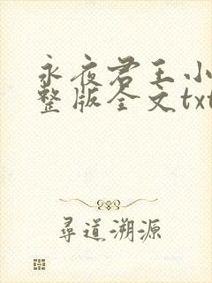 永夜君王小说完整版全文txt下载