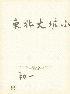 东北大坑小说