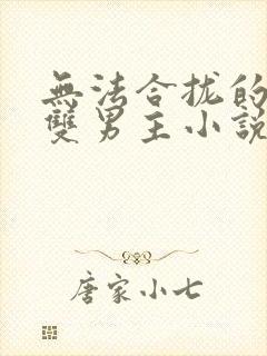 无法合拢的总裁双男主小说