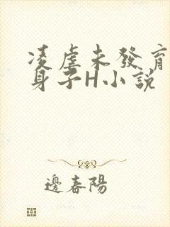凌虐未发育的小身子H小说