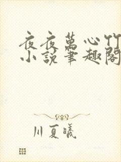 夜夜万心竹先生小说笔趣阁