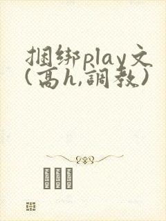 捆绑play文(高h,调教)封面
