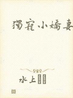 独宠小娇妻封面