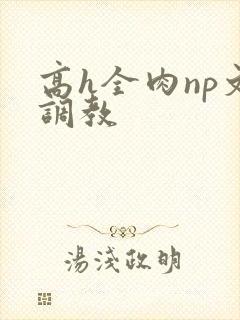 高h全肉np文调教