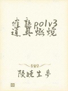 催熟po1v3道具燃烧封面