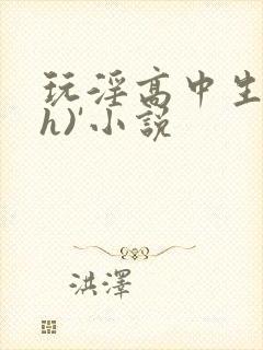玩淫高中生(高h)'小说
