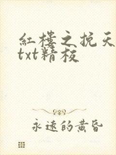 红楼之挽天倾无txt精校