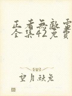 正者无敌电视剧全集42免费观看