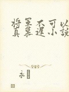 将军不可以魏云真慕迟小说笔趣阁