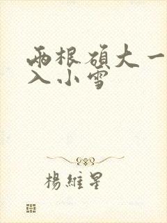 两根硕大一起挤入小雪