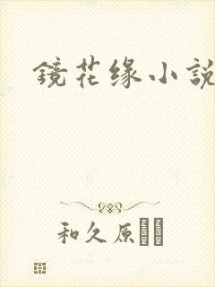 镜花缘小说