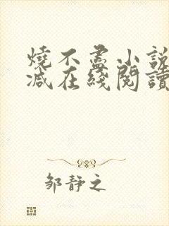 烧不尽小说无删减在线阅读