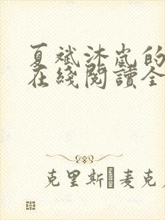 夏斌沐岚的小说在线阅读全文封面