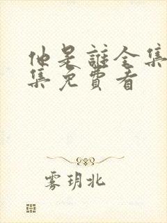 他是谁全集24集免费看