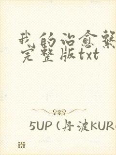 我的治愈系游戏完整版txt