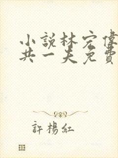 小说林宏伟三女共一夫免费阅读