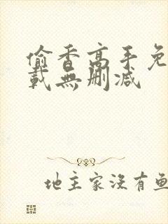 偷香高手免费下载无删减