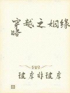 穿越之姻缘劫攻略