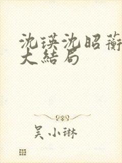 沈瑛沈昭蘅后续大结局