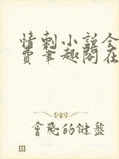 情刺小说全文免费笔趣阁在线阅读