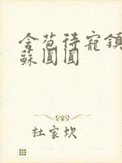 含苞待宠镇国公苏圆圆封面