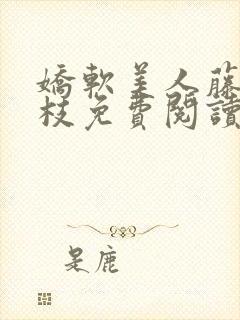 娇软美人藤萝为枝免费阅读笔趣阁