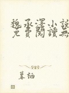 魏承泽小说全文免费阅读无弹窗笔趣