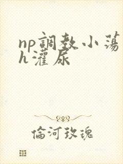 np调教小荡货h灌尿