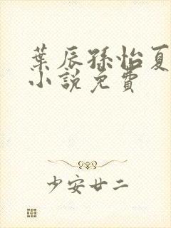 叶辰孙怡夏若雪小说免费