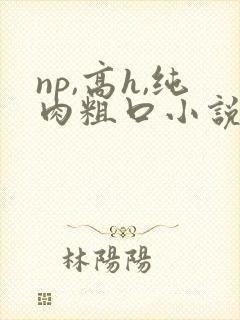 np,高h,纯肉粗口小说