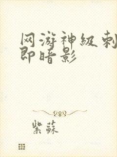 网游神级刺客我即暗影