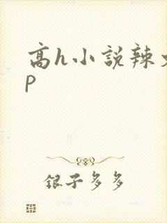 高h小说辣文np
