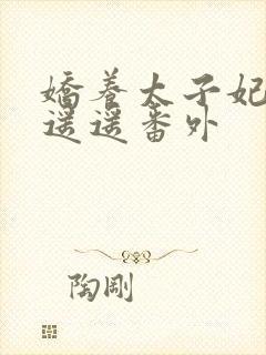 娇养太子妃小舟遥遥番外