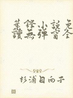 叶锋小说免费阅读无弹窗全文封面