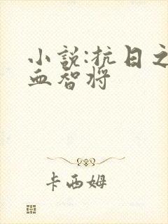 小说:抗日之铁血智将封面