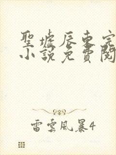 圣墟辰东完整版小说免费阅读