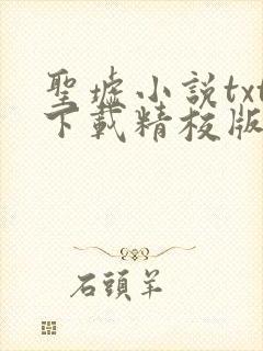 圣墟小说txt下载精校版封面