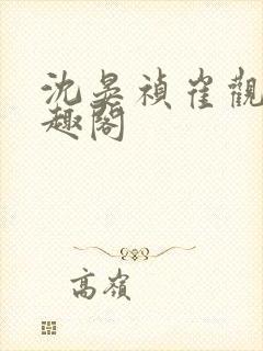 沈晏祯崔观颐笔趣阁