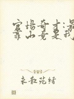 官场奇才:最强靠山竟是我自己李澜全文小