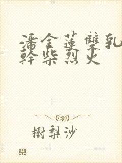 潘金莲双乳晃动干柴烈火封面