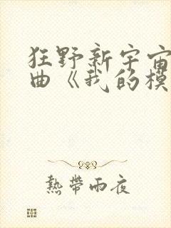 狂野新宇宙主题曲《我的模样》