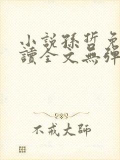 小说孙哲免费阅读全文无弹窗