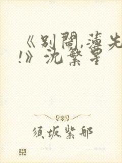 《别闹,薄先生!》沈繁星