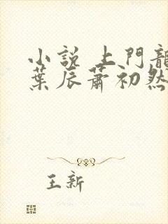 小说 上门龙婿叶辰萧初然