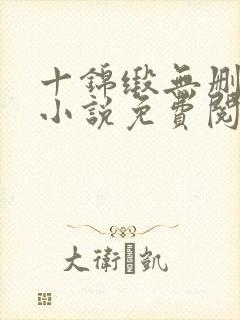 十锦缎无删原著小说免费阅读