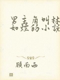 男主角叫林尘柳如烟的小说封面