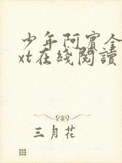 少年阿宾全集txt在线阅读